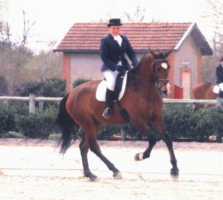 1 cheval + 1 personne