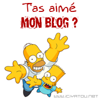mon blog